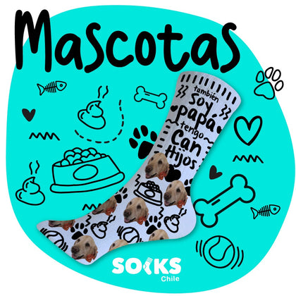 Mascotas
